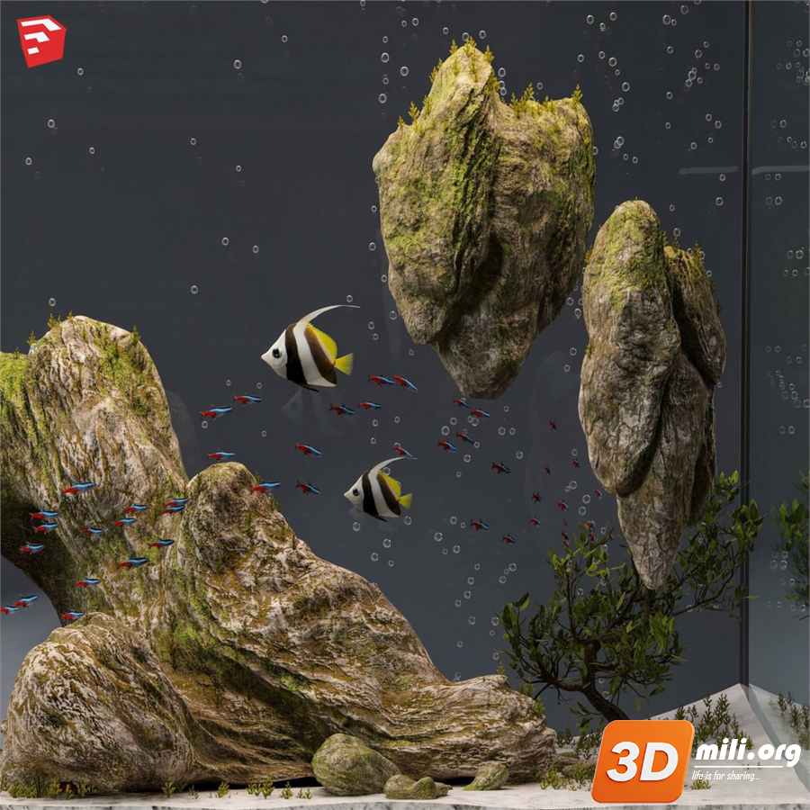 Aquarium Skp Files 